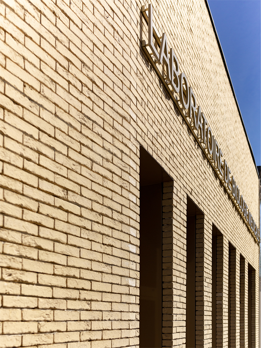 Détail de la brique de façade - Construction d'un laboratoire d'analyse médicale